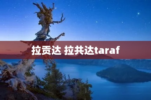 拉贡达 拉共达taraf