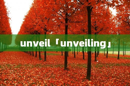 unveil「unveiling」 unveil「unveiling」