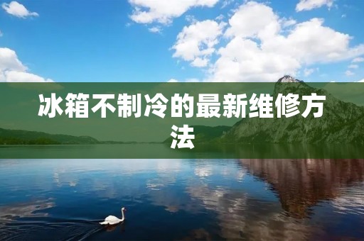冰箱不制冷的最新维修方法