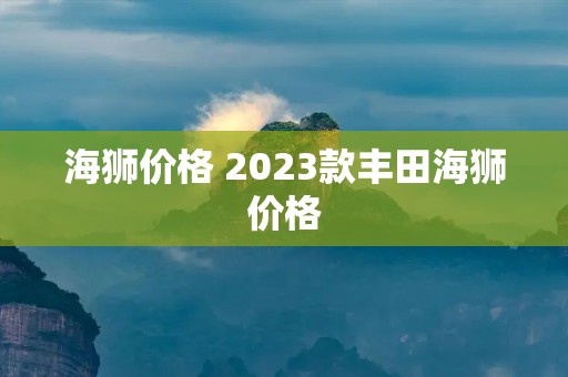 海狮价格 2023款丰田海狮价格