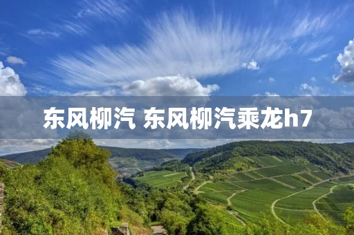 东风柳汽 东风柳汽乘龙h7 东风柳汽 东风柳汽乘龙h7
