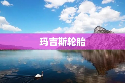 玛吉斯轮胎：为您带来安全与性能的完美结合