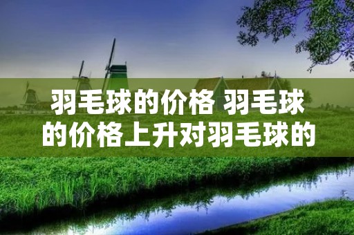 羽毛球的价格 羽毛球的价格上升对羽毛球的需求量就 羽毛球的价格 羽毛球的价格上升对羽毛球的需求量就