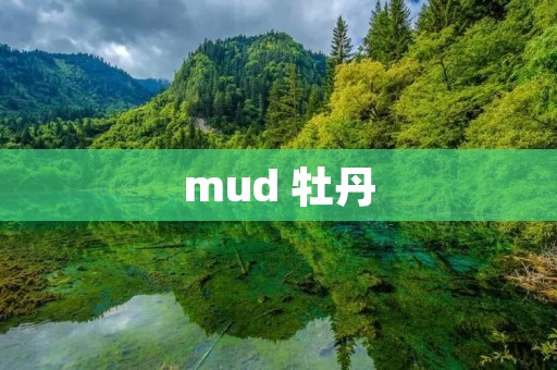 mud 牡丹 mud 牡丹