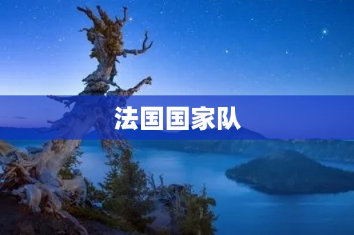 法国国家队：欧洲足坛的耀眼明星