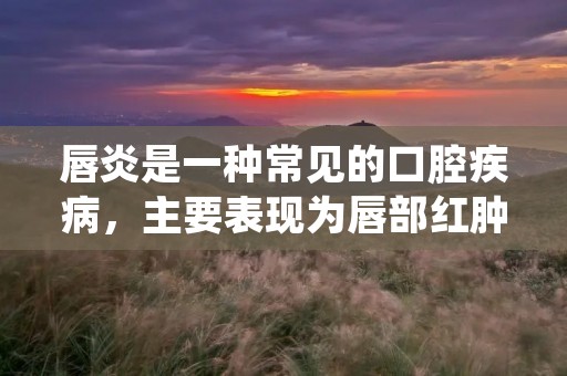 唇炎是一种常见的口腔疾病,主要表现为唇部红肿、疼痛、干裂等症状。它不仅会影响我们的外貌形象,还会给我们的生活带来很大的不便。那么,如何治疗唇炎呢?本文将从多个方面为大家详细介绍。
