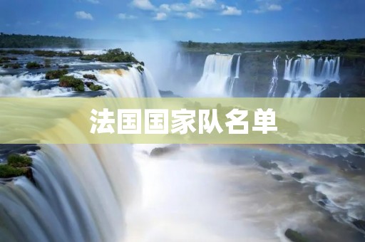 法国国家队名单:阵容强大,实力出众 法国国家队名单:阵容强大,实力出众