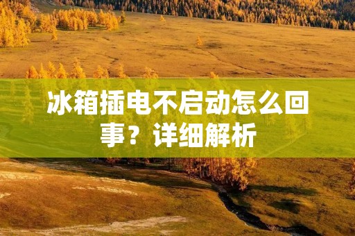 冰箱插电不启动怎么回事？详细解析
