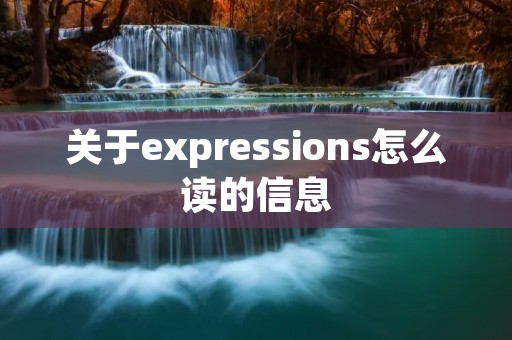 关于expressions怎么读的信息