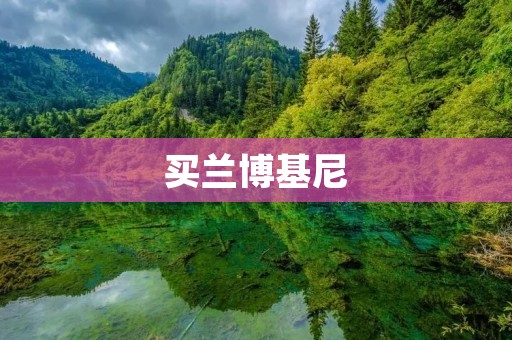 买兰博基尼:奢华与速度的完美结合 买兰博基尼:奢华与速度的完美结合
