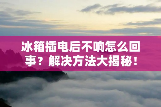 冰箱插电后不响怎么回事？解决方法大揭秘！