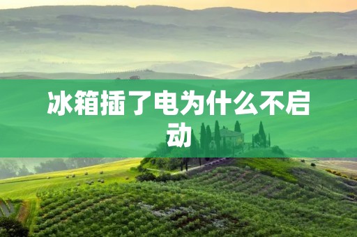 冰箱插了电为什么不启动 冰箱插了电为什么不启动