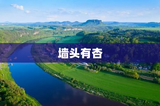 墙头有杏:一场生命的奇迹