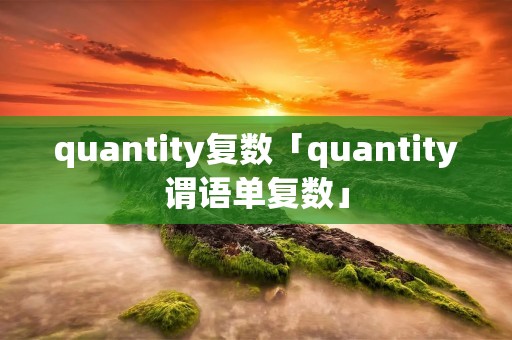 quantity复数「quantity谓语单复数」