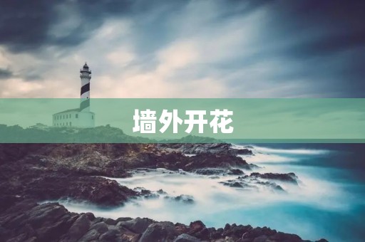 墙外开花:中国文化的传播与影响力