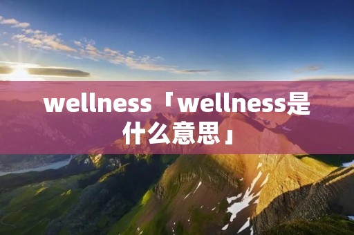 wellness「wellness是什么意思」