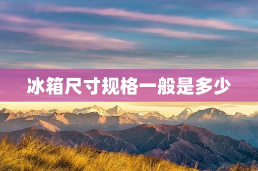 冰箱尺寸规格一般是多少 冰箱尺寸规格一般是多少