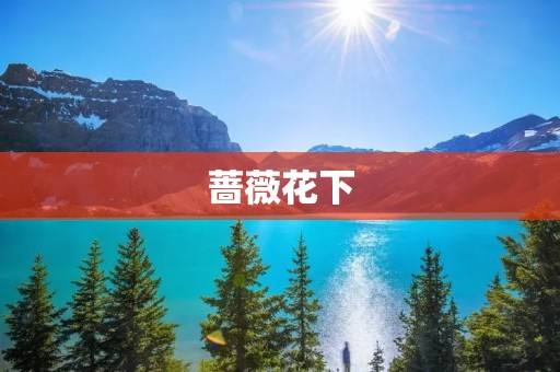 蔷薇花下:一个浪漫的花海