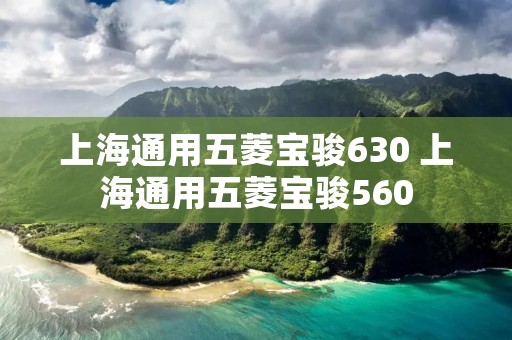 上海通用五菱宝骏630 上海通用五菱宝骏560