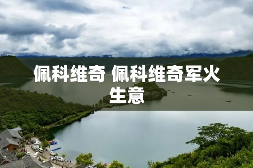 佩科维奇 佩科维奇军火生意