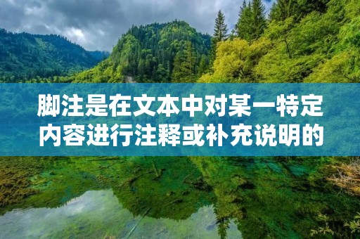 脚注是在文本中对某一特定内容进行注释或补充说明的一种方式。它通常位于页面底部或文末，用以提供额外信息，以便读者更好地理解文本内容。本文将介绍如何插入脚注，并提供详细的步骤和注意事项。