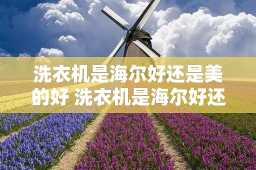 洗衣机是海尔好还是美的好 洗衣机是海尔好还是美的好用