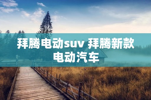 拜腾电动suv 拜腾新款电动汽车 拜腾电动suv 拜腾新款电动汽车