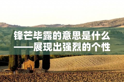 锋芒毕露的意思是什么——展现出强烈的个性和气势