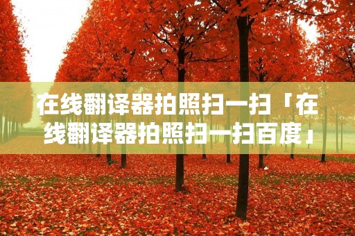 在线翻译器拍照扫一扫「在线翻译器拍照扫一扫百度」