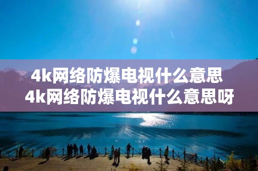 4k网络防爆电视什么意思 4k网络防爆电视什么意思呀 4k网络防爆电视什么意思 4k网络防爆电视什么意思呀