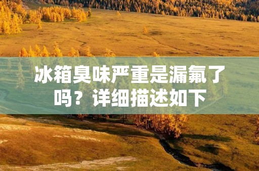 冰箱臭味严重是漏氟了吗?详细描述如下: 冰箱臭味严重是漏氟了吗?详细描述如下:
