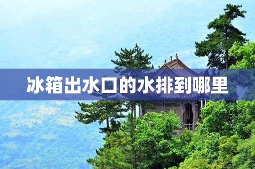 冰箱出水口的水排到哪里 冰箱出水口的水排到哪里