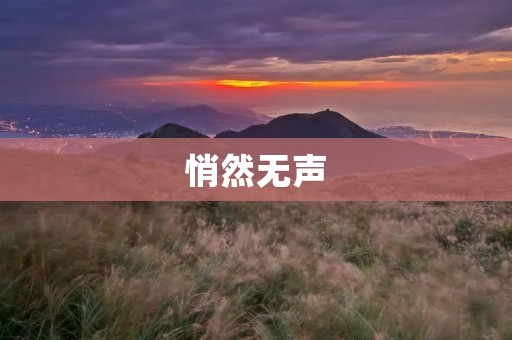 悄然无声:守护者的默契