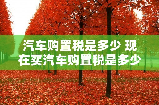 汽车购置税是多少 现在买汽车购置税是多少 汽车购置税是多少 现在买汽车购置税是多少