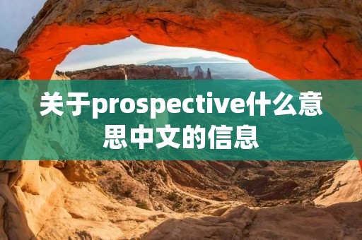 关于prospective什么意思中文的信息