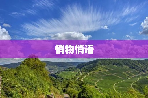 悄物悄语:一场与自然对话的旅程