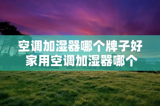空调加湿器哪个牌子好 家用空调加湿器哪个牌子好