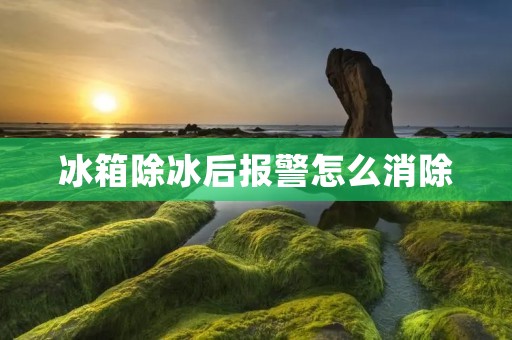 冰箱除冰后报警怎么消除