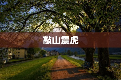 敲山震虎:强力打击犯罪的利器