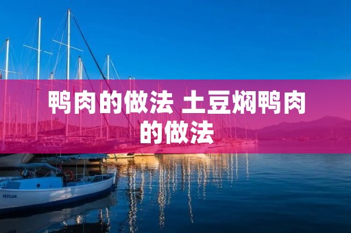 鸭肉的做法 土豆焖鸭肉的做法