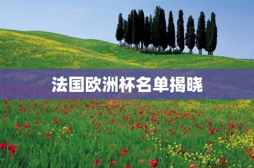法国欧洲杯名单揭晓：实力强大的法国国家队迎战欧洲豪强