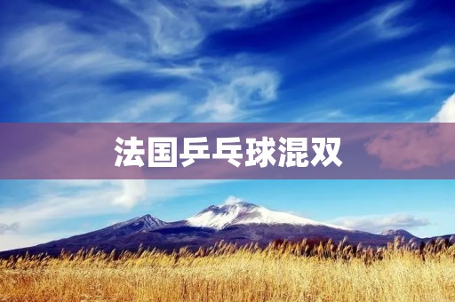 法国乒乓球混双:重塑传统与创造新纪录 法国乒乓球混双:重塑传统与创造新纪录