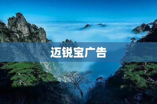 迈锐宝广告:驾驭未来的力量 迈锐宝广告:驾驭未来的力量