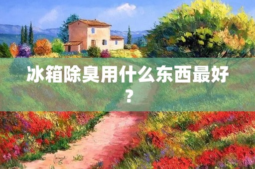 冰箱除臭用什么东西最好？