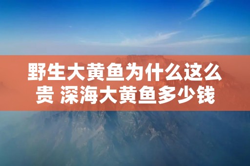 野生大黄鱼为什么这么贵 深海大黄鱼多少钱一斤