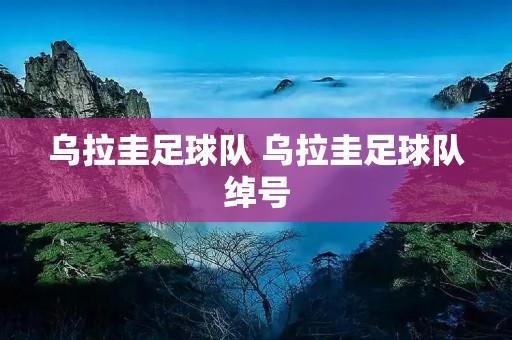 乌拉圭足球队 乌拉圭足球队绰号