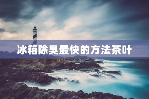 冰箱除臭最快的方法茶叶 冰箱除臭最快的方法茶叶
