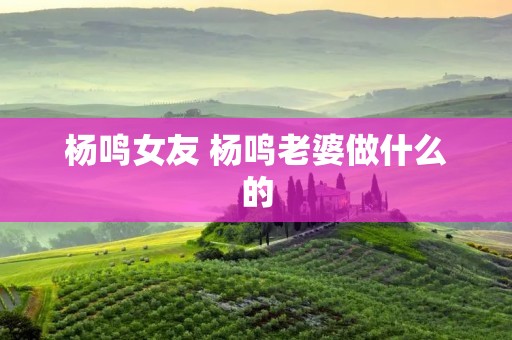 杨鸣女友 杨鸣老婆做什么的