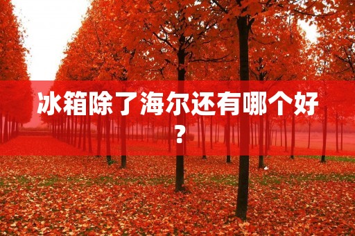 冰箱除了海尔还有哪个好？
