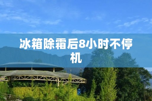 冰箱除霜后8小时不停机:保护食品鲜度的新选择 冰箱除霜后8小时不停机:保护食品鲜度的新选择